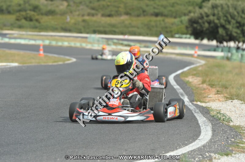DSC (3681).JPG